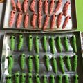 Cooksnap dari Wulan Agustianingrum untuk resep Cookies ulat anti gagal