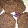 El cooksnap de Priscilla Beltran cuando hizo Galletas de avena y cacao amargo.