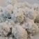 Cooksnap dari isti munawaroh untuk resep Klepon ketan isi gula merah