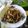 Cooksnap dari iiswatizain untuk resep Tumis kecipir teri