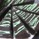 Cooksnap dari Tri Umiatik untuk resep Brownies Kukus Ketan Hitam