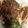Nicole Nichols's cooksnap of when they made Open Faced Roast Beef.