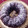 El cooksnap de Vane Diaz cuando hizo Bizcocho de chocolate con nueces (harina de Avena).