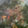 Cooksnap dari Ayu Nuraini untuk resep Sayur Asam