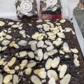 Cooksnap dari Nunu Syany untuk resep Fudge Brownies