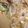 Cooksnap dari Cici untuk resep Gulai cincang daging RM Padang (lamak bana)
