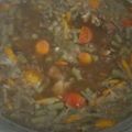 Cooksnap dari chemey untuk resep Asem Asem Daging sapi (tetelan) 🐮