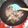 Cooksnap dari 💗Meyfa👨🏼‍🍳 untuk resep Cumi asin cabe ijo