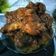 Cooksnap dari Alberta Festia Sarumaha untuk resep Ayam crispy spicy bbq sauce