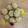 Smita Kiran Patil's cooksnap of when they made Besan laddoo.