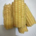 Mary wanjiko 's cooksnap of when they made Boiled Maize.