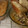 beardless's cooksnap of when they made Cornbread.