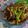 Cooksnap dari Christina Dewi untuk resep Bandeng goreng kecap