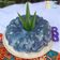 Cooksnap dari 🌷Yulie Yuda Gunawan🌷 untuk resep Puding Santan Bunga Telang Kelapa Muda