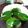 Cooksnap dari SafitriH untuk resep Bolu pandan kukus no mixer