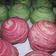 Cooksnap dari Rika Ibuke Aubrila untuk resep Thousand Layer Moon Cake