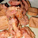 Cooksnap dari sofi ana untuk resep 56. Udang Goreng Tepung, Awet Crispy no MSG