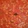 La cooksnap de Carlos Retamal cuando cocinó Bacalao con tomate