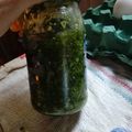 El cooksnap de Chechu Plate cuando hizo Pesto caserito.