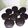 Cooksnap dari thyka untuk resep Brownis Oreo