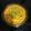 Ila Naik's cooksnap of when they made અડદ ની દાળ (Urad Dal Recipe In Gujarati).