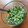LuzMa SG's cooksnap of when they made Ensalada de pepino y cilantro.