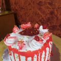 Alpa Pandya's cooksnap of when they made રેડ વેલ્વેટ ક્રીમ ચીઝ કેક (Red Valvet Cream Cheese Cake Recipe In Gujarati).
