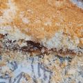 El cooksnap de Marina Lucila Pizzolato cuando hizo Tarta de coco y dulce de leche🍰☕.