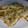 El cooksnap de Ari Anna Dominguez cuando hizo Pizza sin harina Saludable.