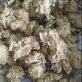 Cooksnap dari Junianti GF Siu Chen untuk resep Rendang babi