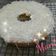 Cooksnap dari Rïənə untuk resep Bolu Kecebong (all in one)