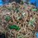 Cooksnap dari Sartika Nusi untuk resep Mie Goreng Telur
