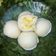 Cooksnap dari Sun Tea Mis untuk resep Bakpao Rainbow