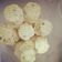 Cooksnap dari Emy Syahfitriani untuk resep Cinnamon Nestum Cookies