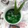 Cooksnap dari Rini Bunda Q Q untuk resep Manisan kolang kaling rasa pandan