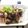 รูป Cooksnap ของ weerayut hanklar เมื่อเขาทำ ตับทอดกระเทียม