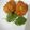 Asha Sharma's cooksnap of when they made Jowar aata, samak aata, gobhi and onion ke pakode.