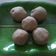 Richa Shahpatel's cooksnap of when they made બાજરી ના લોટ ની કુલેર.