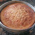 El cooksnap de Verónica cuando hizo Torta común con ralladura de limón es rica.