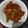 Cooksnap dari Petty untuk resep Tongkol Rica-Rica