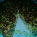 El cooksnap de yaqueli soria cuando hizo Tortilla de verduras.