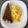 Cooksnap de Joana Almeida quando cozinhou Ovos Mexidos.