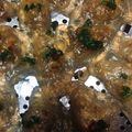 Cooksnap của Phạm Liễu khi họ làm theo món Bánh bột lọc trần