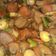 Cooksnap dari Fa I Fa untuk resep Tumis Bakso Pedas Manis