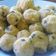 Cooksnap dari Diah Surya untuk resep Bakso tempe mpasi 10+