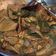 Cooksnap dari Nunik ummuRaka untuk resep Paru Sapi Ungkep (Siap Goreng)