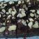 Cooksnap dari Va Mari untuk resep Brownies