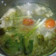 Cooksnap dari Devvy Indriasari untuk resep Soto Daging Bening Khas Boyolali