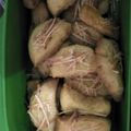 Cooksnap dari ratihkusuma untuk resep Kastengel mudah by teflon