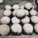 Cooksnap dari Nova Aleha untuk resep Putu Ayu Ketan Hitam